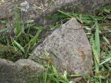 image of grave number 377066
